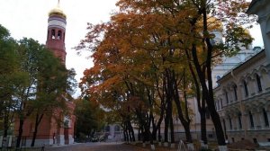 Московский Проспект в Петербурге