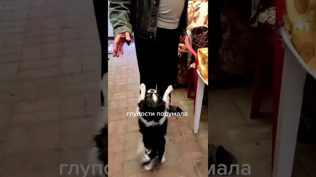 Старое видео.