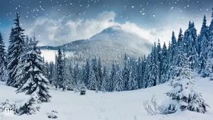 Зимним вечером слушай Притчи перед сном. Библия.