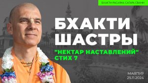 Е.С. Бхакти Расаяна Сагара Свами - "Бхакти шастры". Нектар наставлений. Стих 7 (Маяпур 25.11.2024г.)