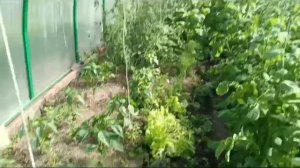 продажа участка СНТ Марс