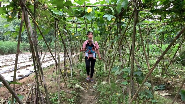 Single Mom 18 Year Old - Harvest Luffa goes to the market to sell смотреть онлайн