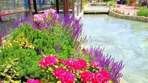 СЧАСТЛИВАЯ ЖЕНСТВЕННОСТЬ БЕРЕМЕННОСТЬ И РОДЫ