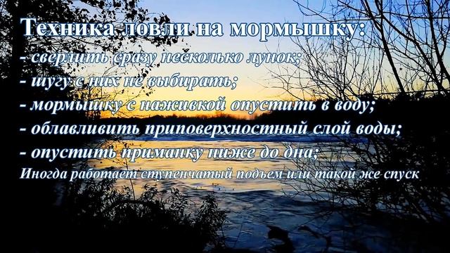 Вам ТАКОЕ никогда не расскажут / КАК ЛОВИТЬ! ПОЧЕМУ НЕЛЬЗЯ ЛОВИТЬ ГОЛАВЛЯ?