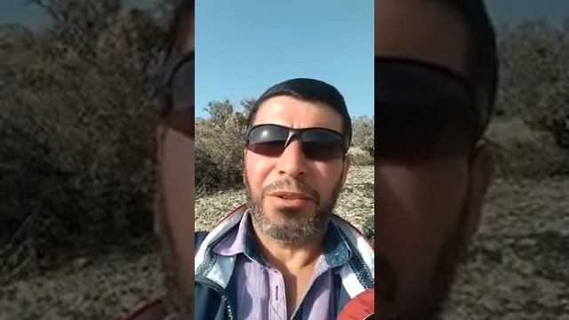 Катарсис. Как поместить идею в чью-то голову? принципы охраны и извлечения подсознание. смотреть онлайн