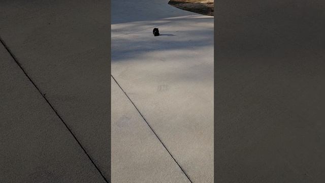 December 14, 2024 смотреть онлайн