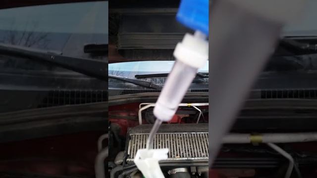 Раскоксовка Subaru водой