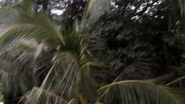 Шриланка смотреть онлайн