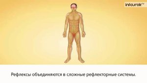 9. Регуляция процессов жизнедеятельности