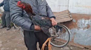 Андижон вилояти Коргонтепа Парранда бозори #мусофир #парранда #бозор  #абзор