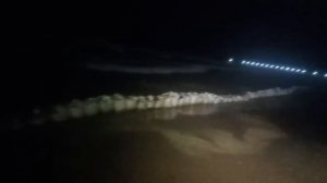 В Анапе начался шторм и неубранные мешки с мазутом отправляются обратно в море..