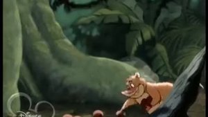 Детеныши джунглей Jungle Cubs Заставка Intro