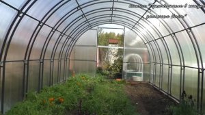 Как обработать теплицы от клеща,болезней,зеленых водорослей осенью