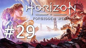 HORIZON FORBIDDEN WEST 29