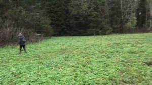 КОП НА ПОЛЯНКЕ В ЛЕСУ ГДЕ КОГДА ТО ЖИЛИ ЛЮДИ. КЛАДОИСКАТЕЛЬ РУСЯ.