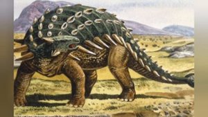 Рассказ Анкилозавр