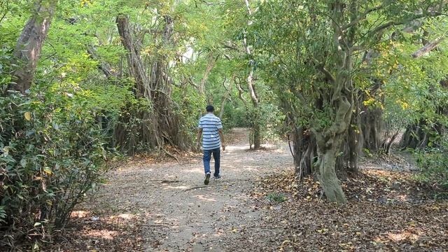 Ratargul | Sylhet | Amazon of Bangladesh.