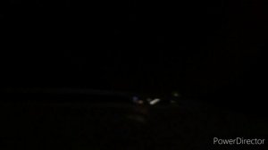 Где сейчас Петрухин?