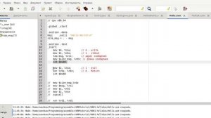 Ассемблер ARM/ARM64, x86/x86_64. Hello World.