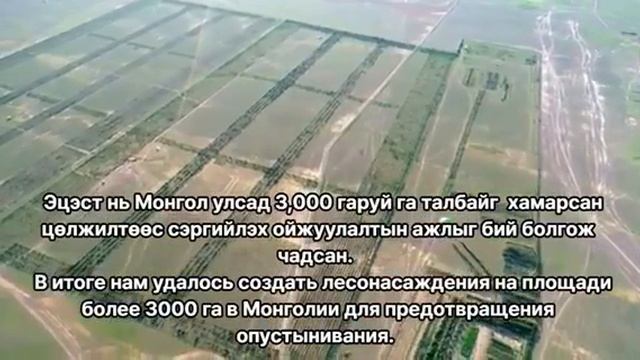 Введение в проект Зеленая стена. 'Rus Sub'