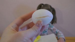 3 опыта с яйцами для детей в домашних условиях. Как сделать яйцо антистресс