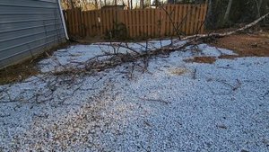УБОРКА ПОСЛЕ СИЛЬНОГО ДОЖДЯ И ВЕТРА / АМЕРИКА  / РАБОТА