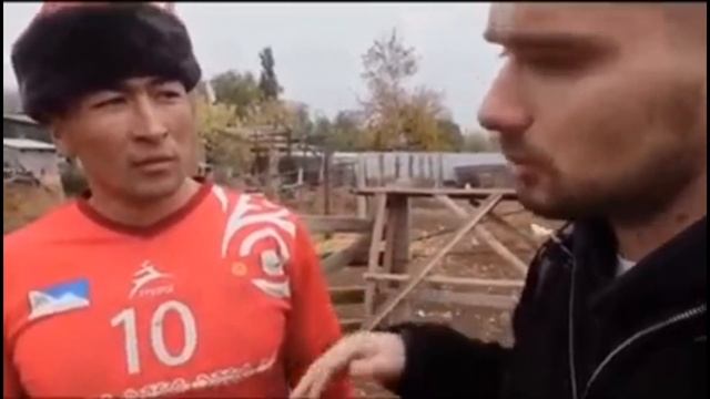 Манас Ниязов, Чет элдиктерди таң калтырды смотреть онлайн