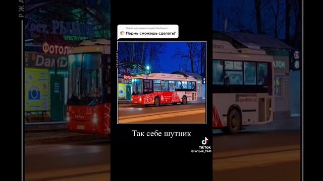 В главных ролях пермского транспорта