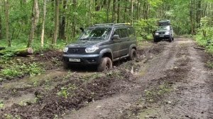 По лайту между Денисово и Горшково на