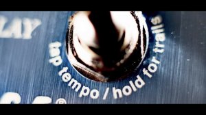 Way Huge Supa-Puss Analog Delay