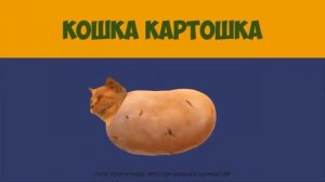 Мышка сосиска, крыска ириска, кот бутерброд, аВаКаДа БеГиМоТ.