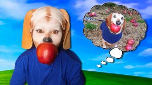 МАКИЯЖ АКВАГРИМ СОБАКА С ЯБЛОКОМ