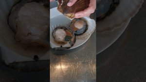 гребешок.mp4