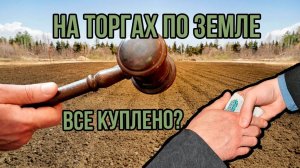 Все ли куплено (попилено) на земельных торгах и аукционах