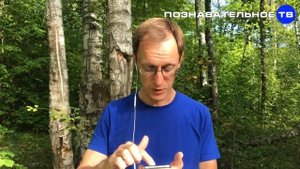 Почему на Украине молодые министры? (Познавательное ТВ, Артём Войтенков)