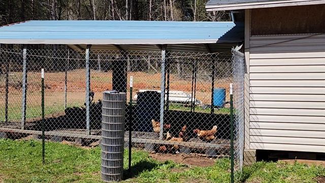 ЖИВЁМ В АМЕРИКАНСКОЙ ДЕРЕВНИ / РАБОТЫ ХВАТАЕТ / КУРОЧКИ. смотреть онлайн