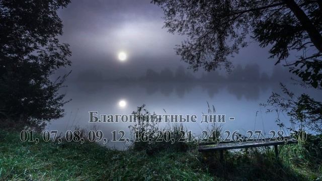 У ДЕДА украли Лунный календарь РЫБАКА на ИЮНЬ 2022! /Лунный календарь клёва РЫБЫ / SeMano TV