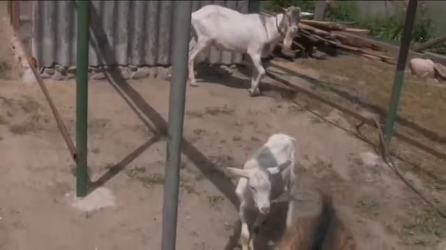 Зачем продаю и покупаю смотреть онлайн