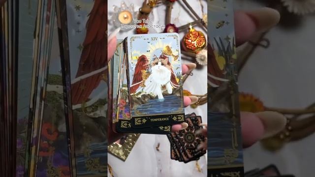 Таро с Алиэкспресс Muse Cat Tarot #обзортаро #тароонлайн #таро