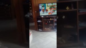 Вызываем губку боба. Он пришел!!!