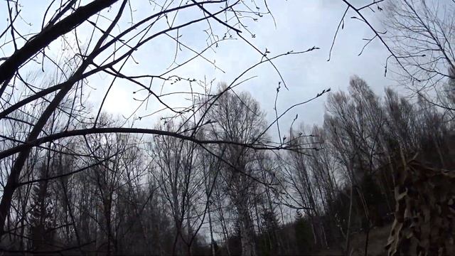 Охота от первого лица #4. Охота с подсадными утками по полям. Охота весной с утиным манком.