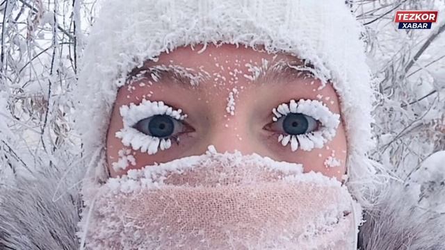 ШОШИЛИНЧ! ЎЗБЕКИСТОН ФУҚАРОЛАРИГА ЕТКАЗИНГ 24-25-26-ЯНВАРДА ТАЙЁР ТУРИНГ