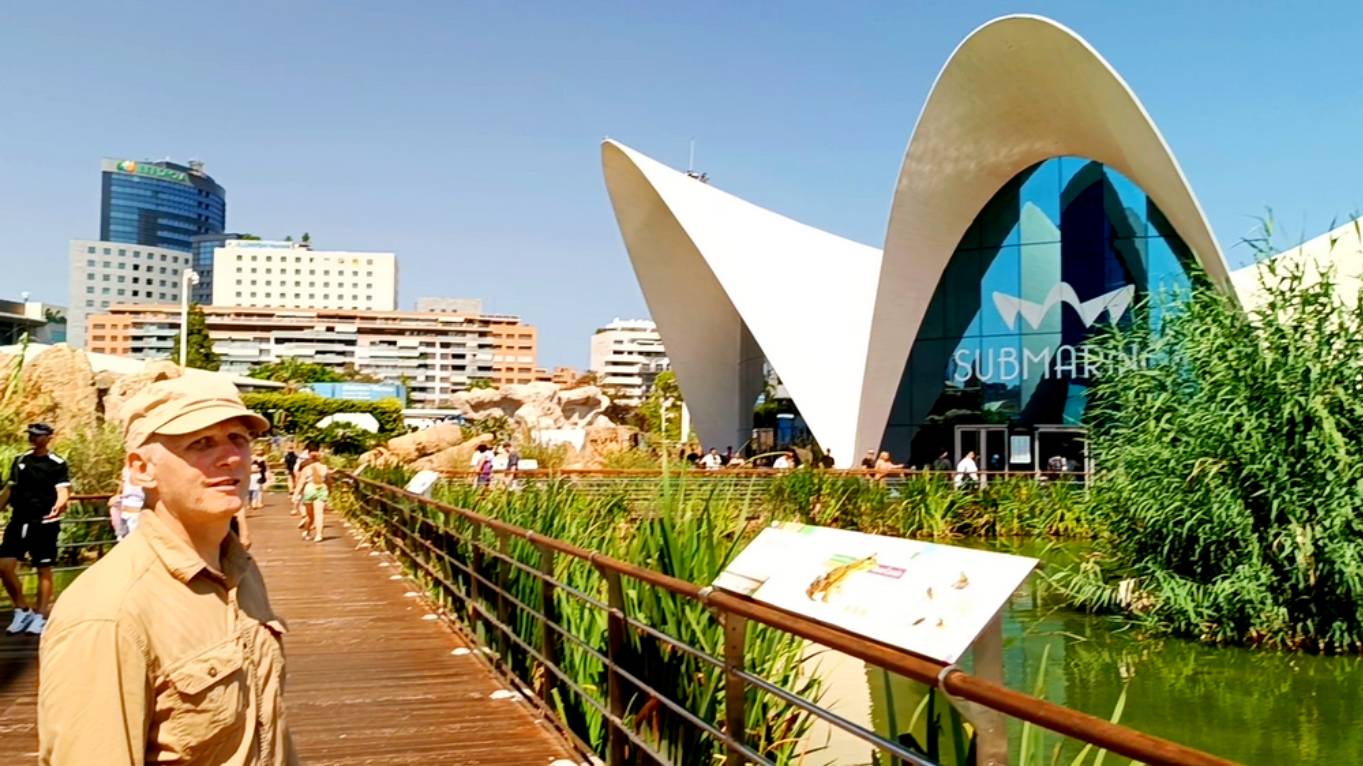 Океанографический парк (L’Oceanogràfic), Валенсия, Испания, август 2024