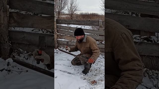 Что сделать, если вы не успели вовремя посадить озимый чеснок? Рассказываю наш простой метод посадки