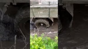 ГАЗ 52 на цепях по тайге грязь :)