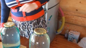 Заготавливаем кленовый сок. В этот раз решили законсервировать по технологии березового сока.