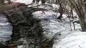 Гранд чероки zj по грязи