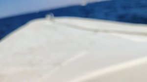 морская рыбалка Анапа