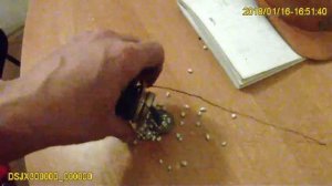 Простейший когерер из фольги