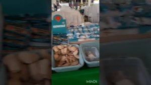 Ташкент.Куйлюк базар 2024